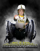 Baseball Softball Glove Individual Template