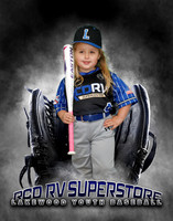 Baseball Softball Glove Individual Template
