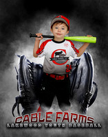 Baseball Softball Glove Individual Template