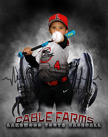 Baseball Softball Glove Individual Template