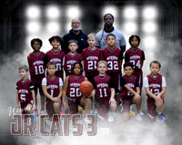 Jr Cats 3