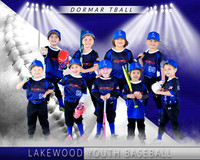 Dormar Tball