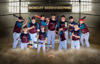 Bobcat Bookkeeping