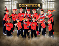 Roosters