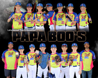 Papa Boo's