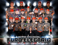 Ford Electric