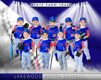 State Farm Tball