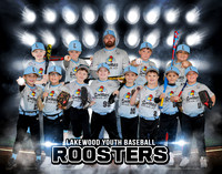 Roosters