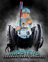 Baseball Softball Glove Individual Template