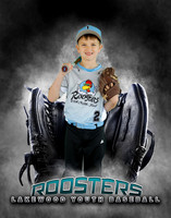 Baseball Softball Glove Individual Template