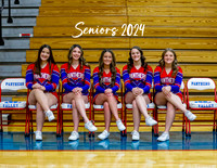 Cheer/parents