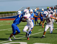 JV