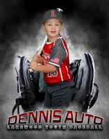 Baseball Softball Glove Individual Template