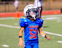 Little League 3/4 Blue