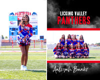 JV Cheer