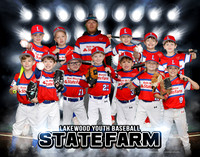 State Farm