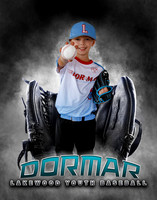 Baseball Softball Glove Individual Template