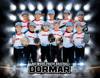 Domar