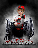 Baseball Softball Glove Individual Template