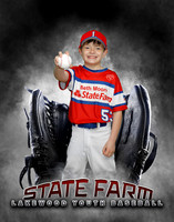 Baseball Softball Glove Individual Template